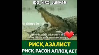Хочи Мирзо риск Расон Аллох  Аст