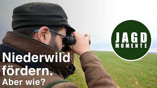 Niederwild fördern. Aber wie? | JagdMomente | Expertise #5