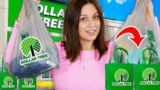 I Bought New Dollar Tree Products YOU Haven't Seen Before