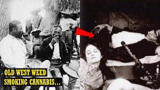 Cannabis Cowboys: A History Of Weed In The American Old West...