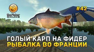 Голый Карп на фидер. Рыбалка во Франции - Fisher Online #42