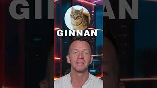 $GINNAN: The Doge of Cats Ready to Explode! #moneymasters #crypto #memecoins