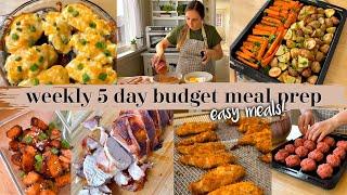 5 Day Weekly Meal Prep Made Easy! Quick & Budget Friendly #panasonicpartner