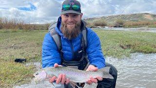 Hams Fork River, Wyoming: Roam and Reel