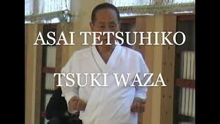 Asai Tetsuhiko 10 dan. Shotokan karate tsuki waza