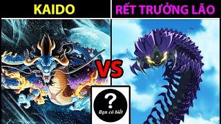 Tứ Hoàng KAIDO vs Rết Trưởng Lão, ai sẽ thắng #101 |Bạn Có Biết?