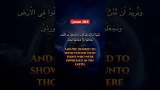 Quran 28:5 Imams of Ahlul Bayt own the Earth | Islam | Muslim Guidance #shortsvideo