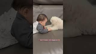 ️ Tiny hands, tiny paws, big fun  #babyjoy #doglove #cutebabies #adorablemoments