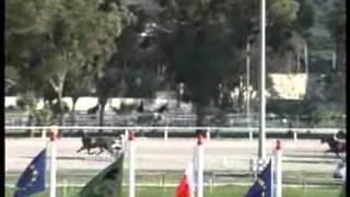 www kennethvella com  MEETING (50) Date 14-12-2013 PART 1 RACE 1,2,3,4,5,6,7,8,9,10