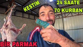 2A SAATTE 70 KURBAN~KESİMİ !! PARMAĞIM KESİLDİ!! TALİHSİZLİKLER!! BU İŞ BU KADAR