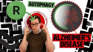 Rapamycin’s Anti-Alzheimer’s Promise: An Autophagy Story