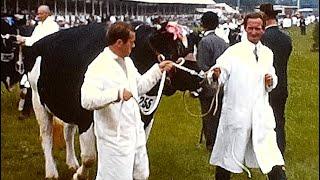 Three Counties Show 1964 | Malvern, Worcestershire |