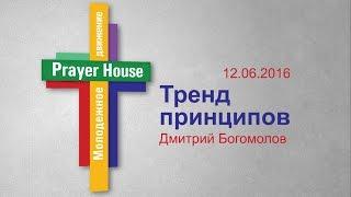 Дмитрий Богомолов - Тренд принципов