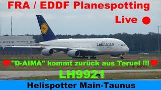 FRA Live  Planespotting - runway 25L & 25C | Lufthansa A380 "D-AIMA" comeback!! ( LH9921 )