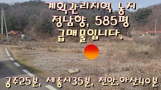 23번 충남 공주시 신풍면 조평리에 위치한 계획관리지역 농지임 전원주택매매 전원주택지매매 농가주택매매 시골집매매 토지매매  급매물전문 공주대우부동산 귀농귀촌/공주부동산 유구부동산