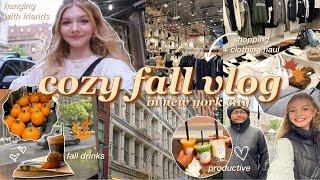 COZY FALL VLOG IN NYC  productive days, fall shopping haul, cooking, seeing friends & sonny angels!