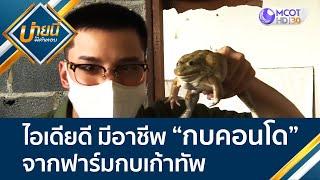 ไอเดียดี มีอาชีพ “กบคอนโด” จากฟาร์มกบเก้าทัพ | บ่ายนี้มีคำตอบ (19 ม.ค. 65) OnAir