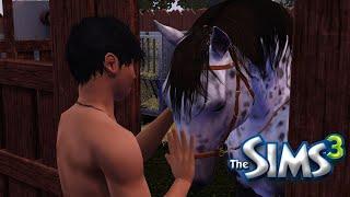 The Sims 3 #71 Покупка лошади