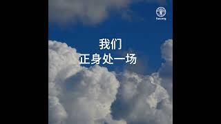 绿色和气候韧性农业是气候对策之一