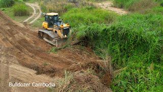 Full Prossing Powerful Dozer Expertise Push Clearing Forest & Wonderful Equipment Working