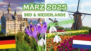 Nachtrag: Der März 2025 in der BRD und den Niederlanden