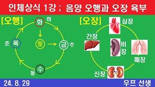 인체상식 1강 , 오장 육부와 음양 오행, 우프 선생, 2024년 8월 29일, 목요일