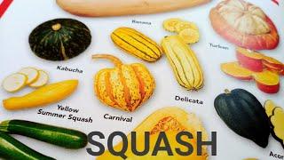 WHAT'S THE ANYKIND NAME PF SQUASH | MONGRENE CHANNEL