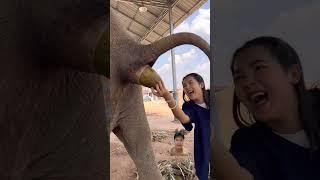 She using her hand to catch elephant poop 