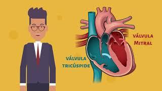 Sistema Cardiovascular, una forma práctica de aprender.