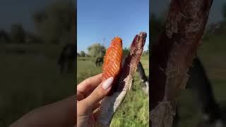 Самая вкусная, самая свежая вобла только у нас!