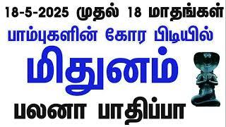 அடுத்த 546 நாட்கள் | பாம்புகளை வெல்லும் கீரியாக | மிதுனம் | ராகு கேது பெயர்ச்சி பலன்கள் 2025