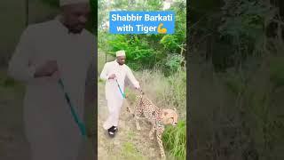 shabbir barkati with tiger#naatsharif