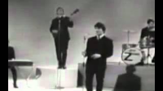 The Zombies - Tell Her No