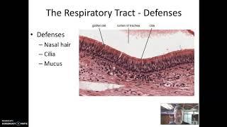 Respiratory Tract Microbiology