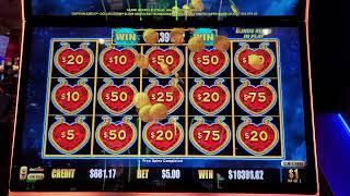 Grand Jackpot Won on Dollar Storm on New Years Day