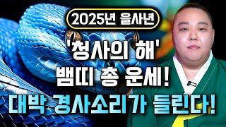 2025년 을사년 뱀띠운세, 재물과 성공의 기운이 몰려온다! 인생을 바꿀 기회가 찾아오는 '2025년 초대박 뱀띠운세!' 53년생 65년생 77년생 89년생 뱀띠 운세 / 서울점집