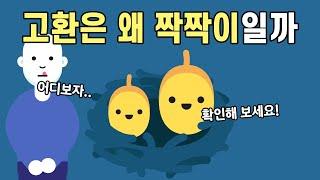 남자의 고환은 왜 좌, 우 크기가 다를까