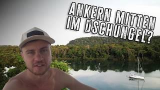 Ab in den DSCHUNGEL! | Affen und Kaimane in PANAMA -salty brothers Ep.35-