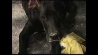 The Case of the Destroyed Flour Bag