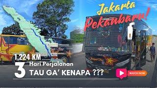 650Ribu Cobain Bus Paling Murah di Redbus! Sempati Star | Jakarta   -Pekanbaru