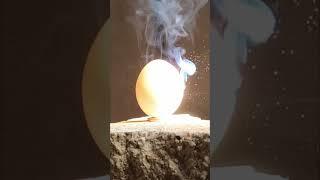 Solar Death Ray vs Egg #physics #solar