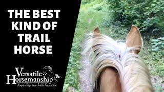 THE BEST KIND OF TRAIL HORSE