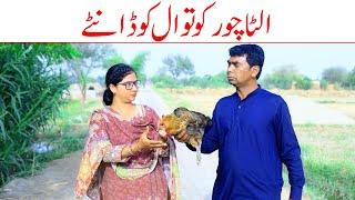 #funnyvideo ,Ramzi new funny, Rachnavi tv team,Idiot one