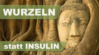 Diese Wurzeln helfen bei Diabetes | Dr. med. Ingfried Hobert | ETHNOMED