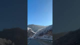 Ты бы поехала?