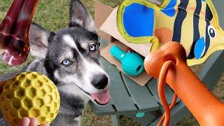 Durable Dog Toys for Aggressive Chewers!