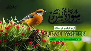 Surah Yasin (Yaseen) With Translation ️ - Episode 2 - Beautiful Voice - Altash Production