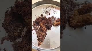 How to Use cocopeat in your plants| Cocopeat advantages#coir #greeneem #youtube #cocopeat #ytshorts