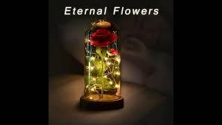 SW Preserved Rose Enchanted Rose Red Silk Rose in Glass Dome with LED Lights Pine Base