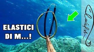 Spearfishing between Surprises and Sea Lessons!